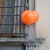 Les Suportrices Baskets sont en dessous !