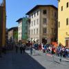 Les Baskets à Florence