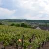 La Champenoise