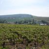 La Champenoise