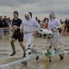 Transbaie 2016