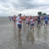 Transbaie 2017