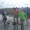 Transbaie 2017