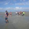 Transbaie 2017