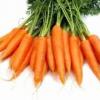Carrotte